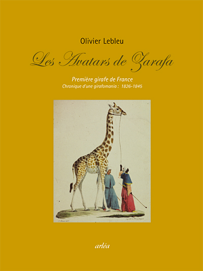 Peigner La Girafe Voie Droite Esprit Courbe